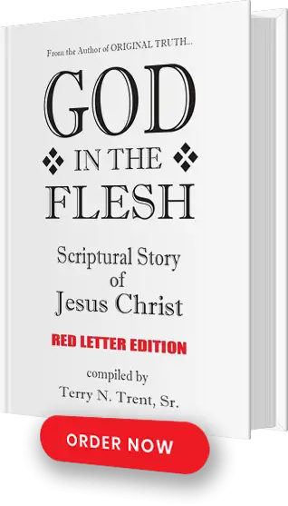 God In The Flesh God In The Flesh