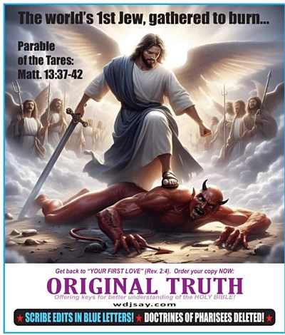 Photo 35